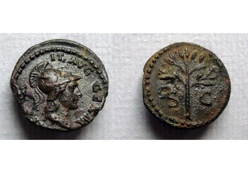 Domitianus - quadrans Minerva zeldzaam! (S2119)