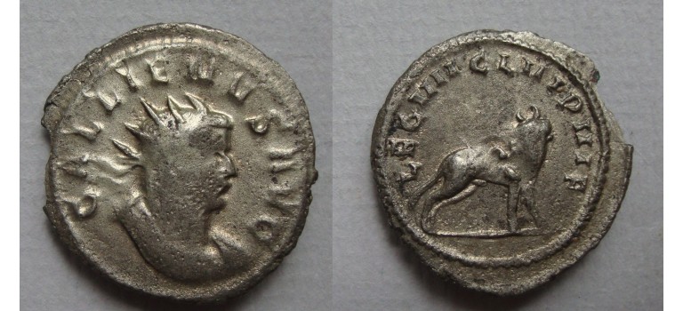 Gallienus - Stier LEG VII legioensmunt ZELDZAAM (AU2298)