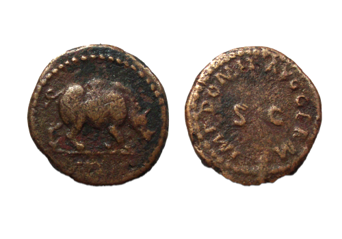 Domitianus - Quadrans Neushoorn populair type! (D2256)