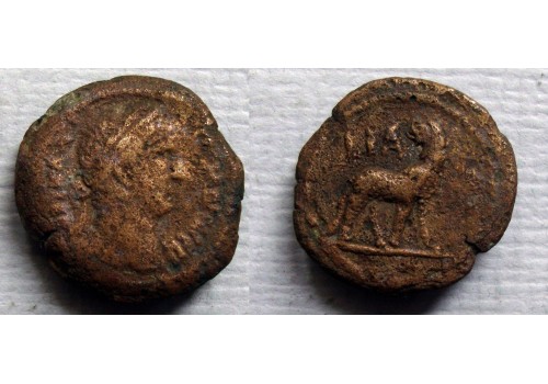 Hadrianus - obol met panter ZELDZAAM (N2259) Hadrianus - obol met panter ZELDZAAM (N2259)