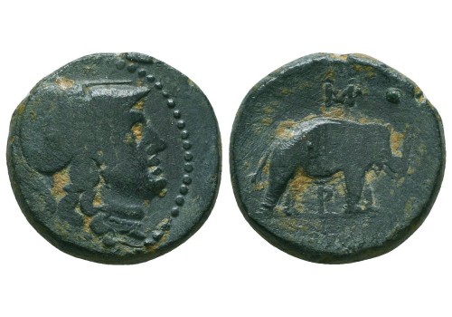 Greek coins - Seleukos I Nikator Elepehant 295 BC !  (S2262)
