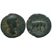 Antoninus Pius- AS olifant schaars (S2290)
