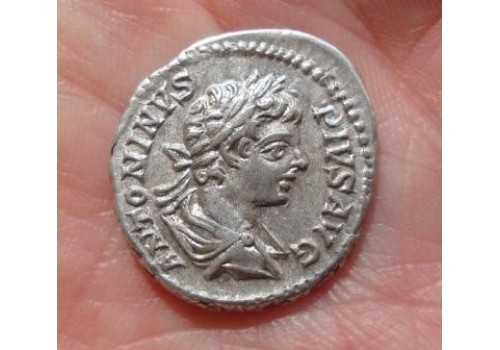 Caracalla- Denarius Victoria SCHAARS Bijna Prachtig!