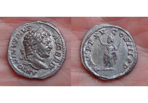 Caracalla -  SERAPIS prachtige kop!  (A12)