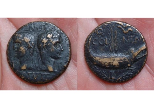 Augustus en Agrippa AS - Krokodil! (906)