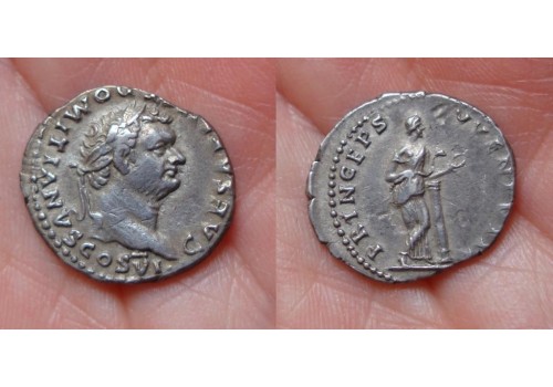 Domitianus- Princeps Ivvenvtis salus! (935) Domitianus- Princeps Ivvenvtis salus! (935)
