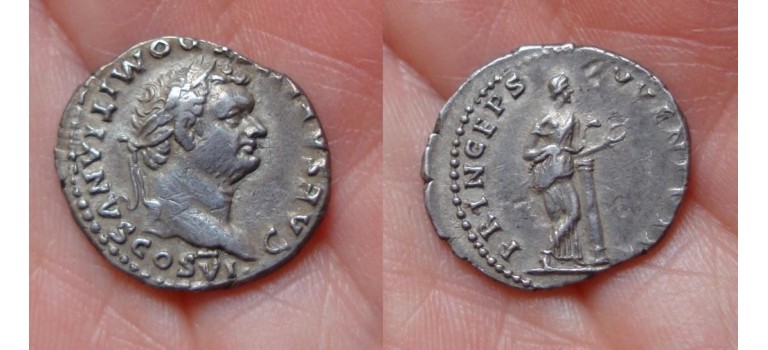 Domitian - Princeps Ivventvtis Salus (935)