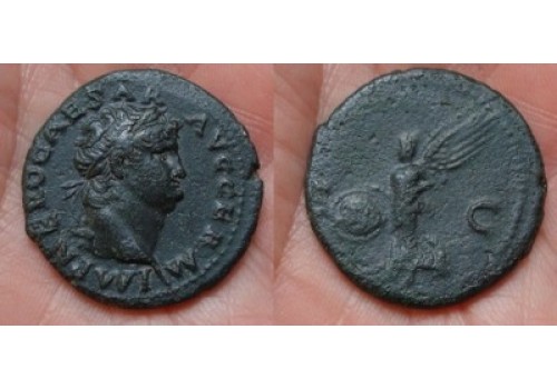 Nero - Victoria MOOI PORTRET! (1148)