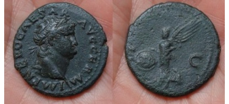 Nero - Victoria MOOI PORTRET! (1148)