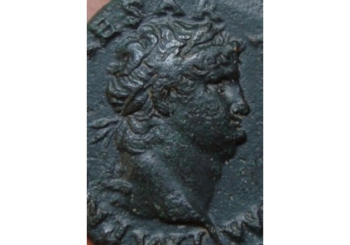 Nero - Victoria MOOI PORTRET! (1148)
