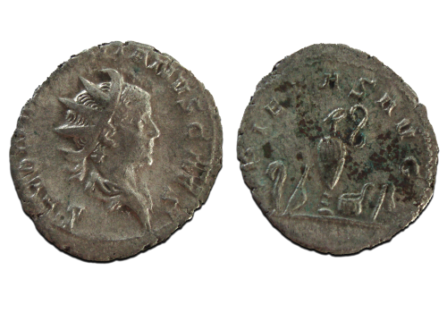Saloninus  - zeldzame Caesar! PIETAS (AP23100)
