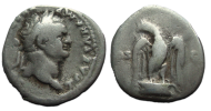 Titus - denarius Adelaar!  (AP2331)