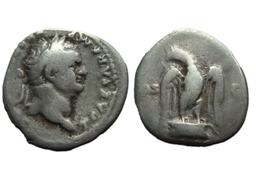 Titus - denarius Adelaar!  (AP2331)