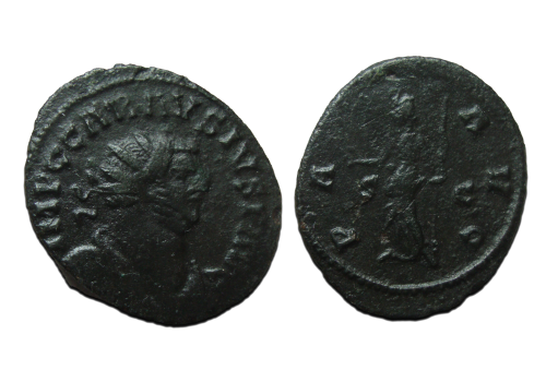 Carausius -  PAX schaarse keizer (AP24105)