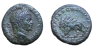 Caracalla - Leeuw AS Zeldzaam! (ME2165)