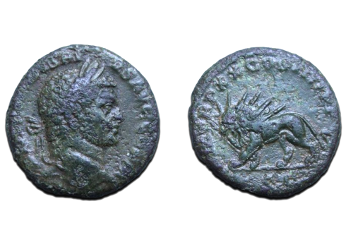 Caracalla - Lion AS RARE (ME2165)