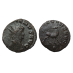 Gallienus -  Hinde 'Zoo-serie' (D23129)