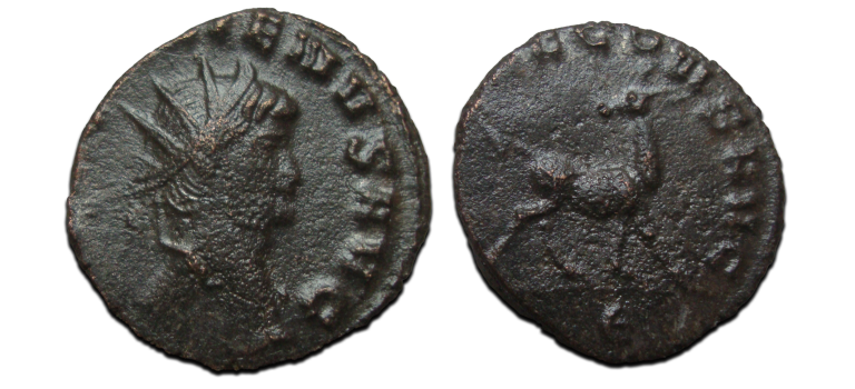 Gallienus -  Hinde 'Zoo-serie' (D23129)
