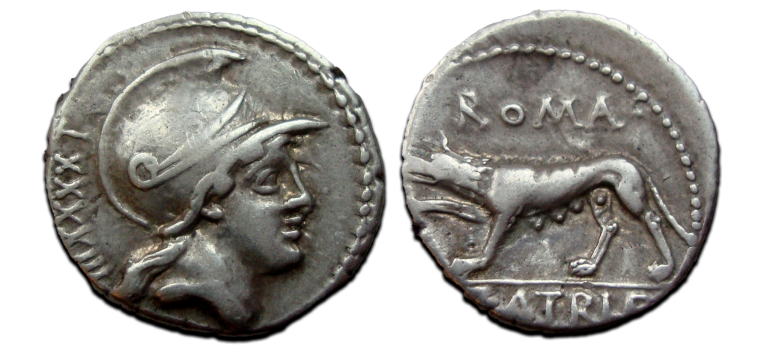 Romeinse republiek - denarius P. Satrienvs Wolvin zeldzaam! (D2383)