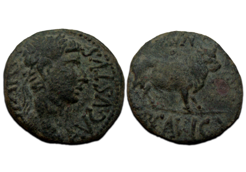 Augustus -  Ercavica Stier (D2389)