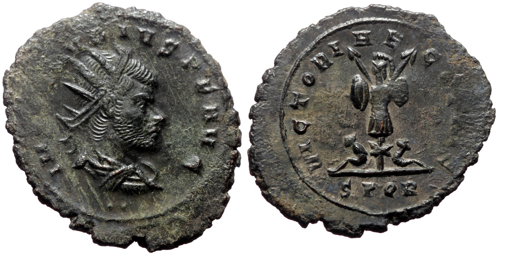 F2374-claudius-1984x1006.jpg