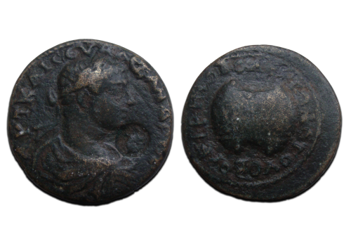 Severus Alexander - Irenopolis Urn zeldzaam! (F2482)
