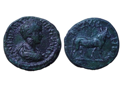 Caracalla -  bull to the right (JA2379)