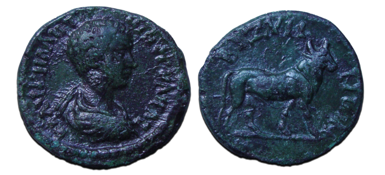 Caracalla -  stier naar rechts (JA2379)