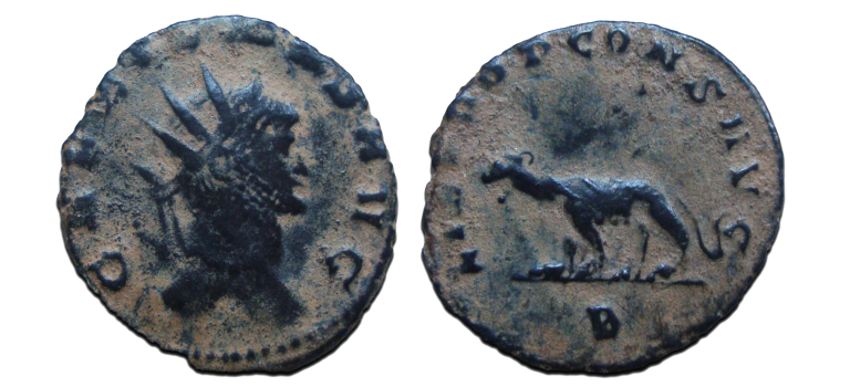 Gallienus -  Tigress 'Zoo-serie' (JA2445)