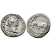 Titus - denarius Olifant geslagen ter viering van het Colosseum! (JUL2362)