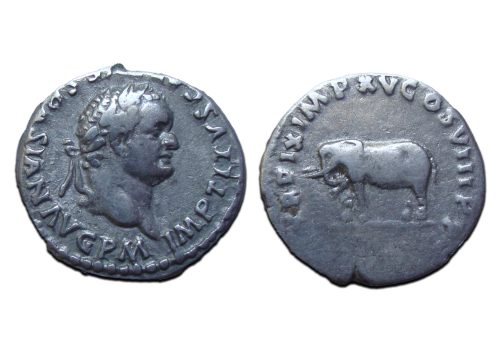 Titus - denarius Elephant! (JUN2388)