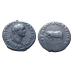 Titus - denarius Olifant geslagen ter viering van het Colosseum! (JUN2388)