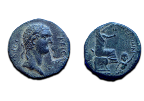 Domitianus - AE21 from Flaviopolis reverse Tyche EF! (ME1747)