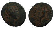 Griekse munten - Dionysos Apameia (ME2346)