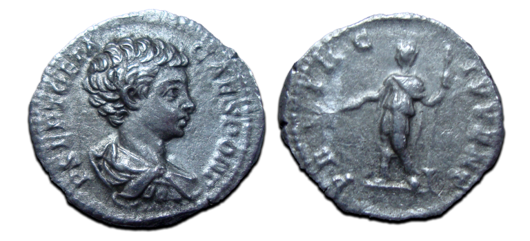 Geta - denarius de prins van de jeugd (N2308)