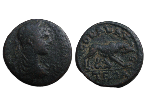 Severus Alexander - Lupa Romana TROAS (O2351) Severus Alexander - Lupa Romana TROAS (O2351)