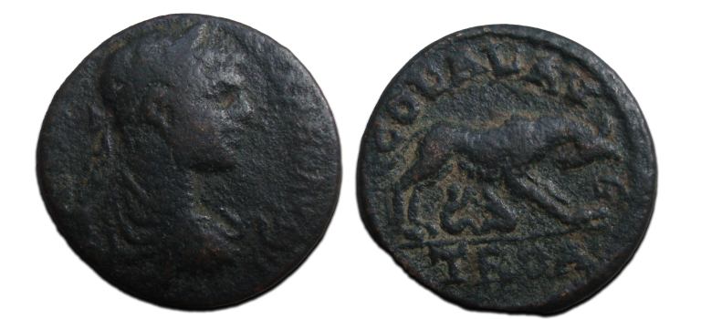 Severus Alexander - Lupa Romana TROAS (O2351)