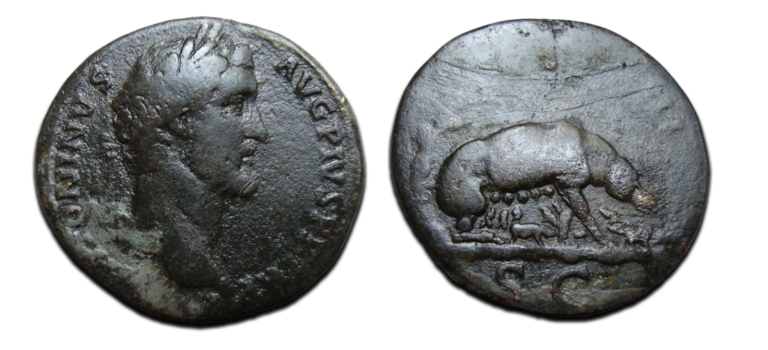 Antoninus Pius - SESTERTIUS Zeug met biggen zeldzaam!  (o20125)