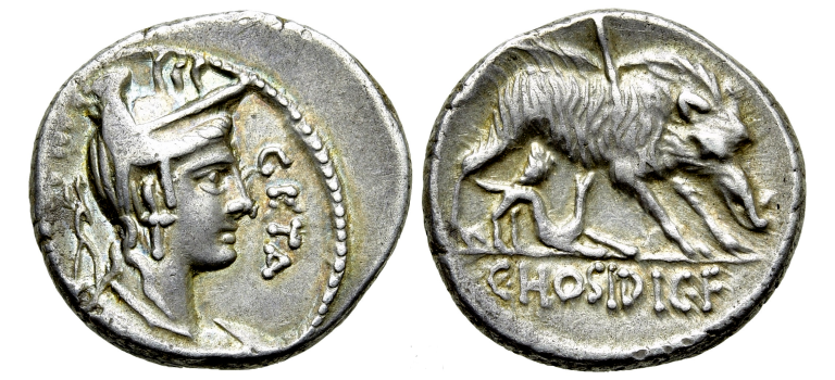 Romeinse republiek - denarius Geta/Hosidius Calydonisch zwijn!! (AU2324)