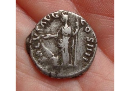 Antoninus Pius- SALVS AVG! (504)