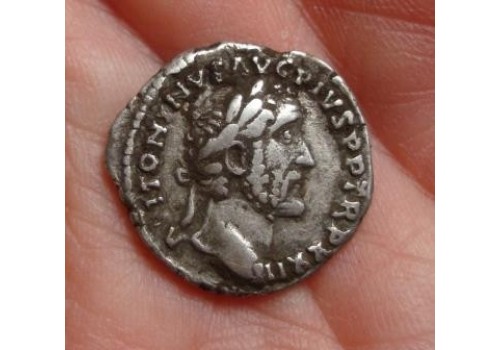 Antoninus Pius- SALVS AVG! (504)