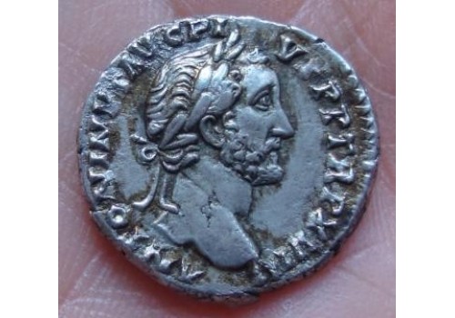 Antoninus Pius - VESTA SUPER! (455)