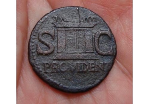 Augustus - Provident AS ZF (462)