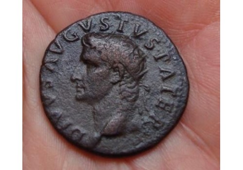 Augustus - Provident AS ZF (462)