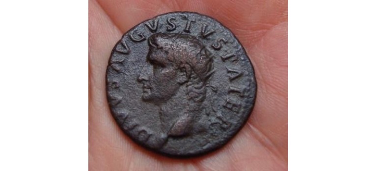 Augustus - Provident AS ZF (462)