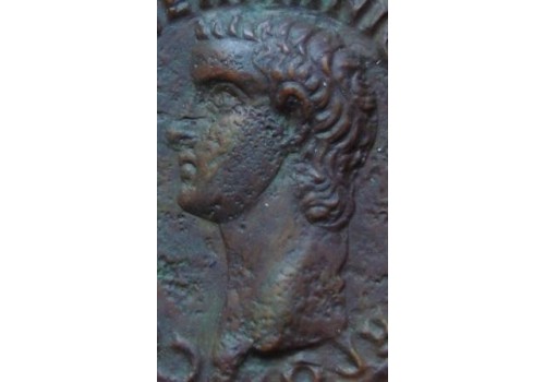 Caligula AS-  VESTA zeldzaam PRACHTIGE KOP AAAA+++++ (440)