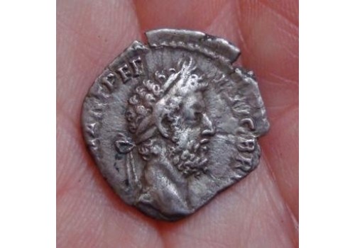 Commodus denarius keizer in toga op curulische stoel!!!!!! (496)