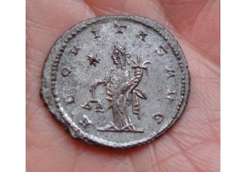 Gallienus-  AEQVITAS SCHITTERENDE MUNT! (472)