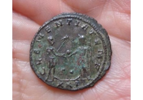 Probus-  Clementia temp! (490)