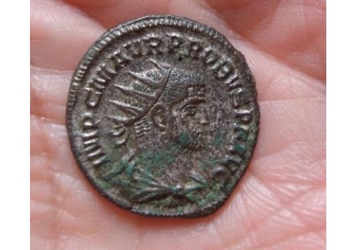 Probus-  Clementia temp! (490)